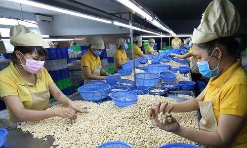Vietnam alcanza superávit comercial con Camboya ảnh 1 Vietnam alcanza superávit comercial con Camboya ảnh 1