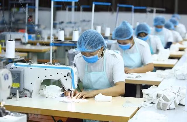 Vietnam promueve exportaciones de confecciones textiles, cuero y calzado a Australia ảnh 1