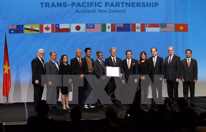 Vietnam y México crean comité mixto para cooperación económica ảnh 1