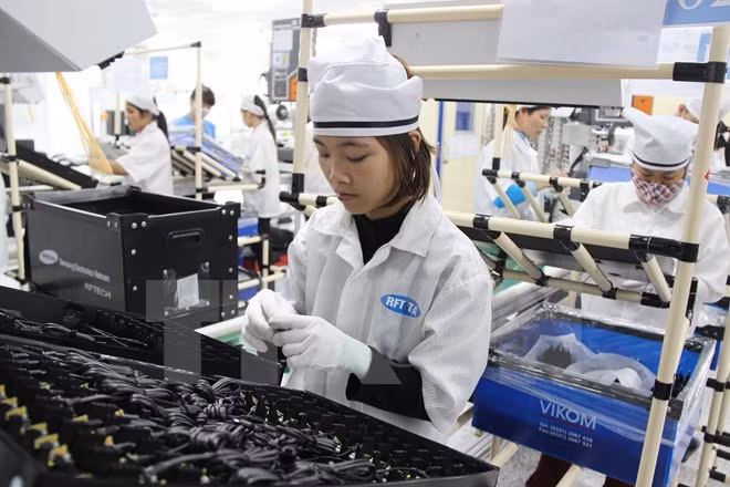 En aumento exportaciones vietnamitas a México ảnh 1