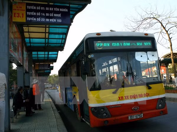 Ciudad Ho Chi Minh abrirá nuevas rutas de autobús a Tan Son Nhat ảnh 1