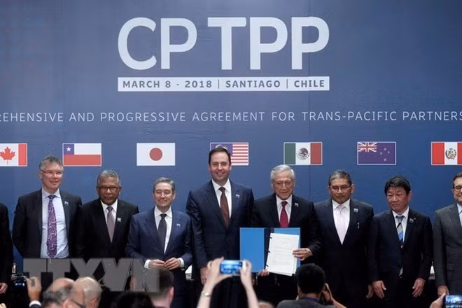 Japón avanza hacia aprobación del Acuerdo Integral y Progresivo de Asociación Transpacífico ảnh 1