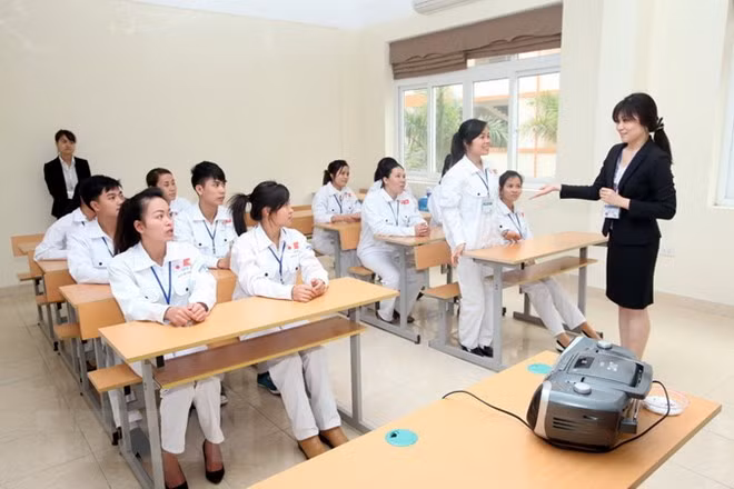 Vietnam busca mejorar habilidades de enfermeros ảnh 1 Vietnam busca mejorar habilidades de enfermeros ảnh 1