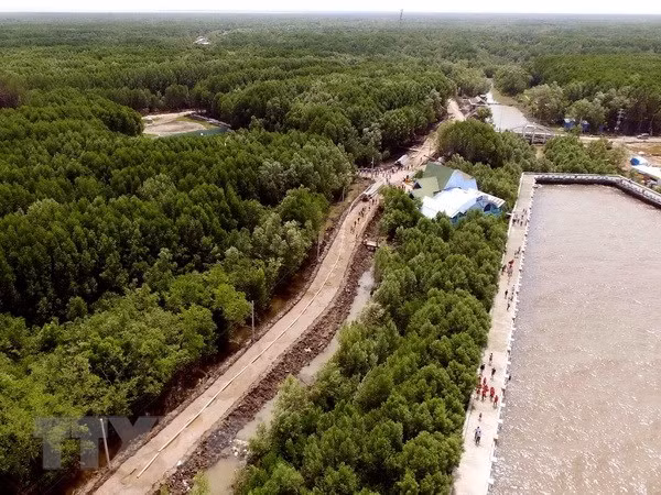 Unión Europea financia centenares de proyectos en respuesta al cambio climático en Vietnam ảnh 1