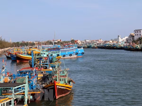 Comisión Europea reconoce esfuerzos de Vietnam contra pesca ilegal ảnh 1