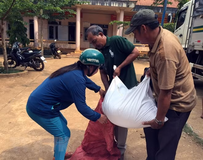 Vietnam aprueba programa de acción nacional para erradicar el hambre ảnh 1