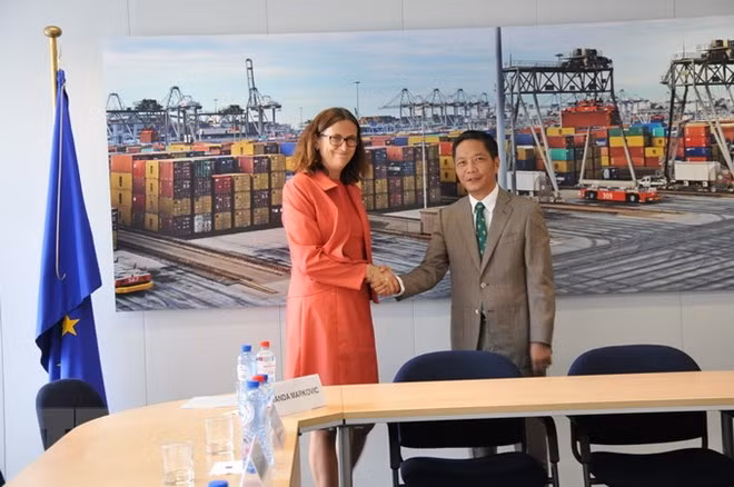 Vietnam y la Unión Europea concluyen revisión legal del TLC bilateral ảnh 1