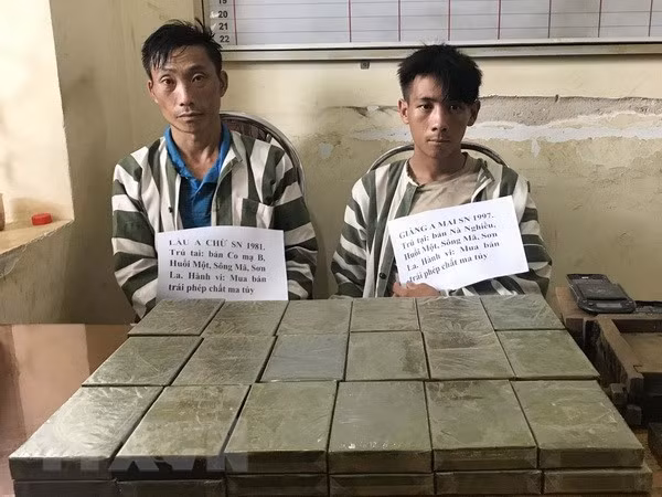 Arrestan sospechosos de tráfico de 36 ladrillos de heroína en provincia fronteriza ảnh 1