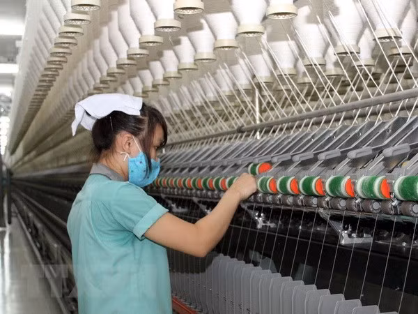Construyen en Vietnam fábrica de hilados de lana de oveja ảnh 1