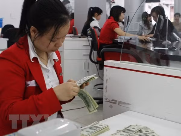 Aumenta tasa de cambio entre el dong vietnamita y el dólar estadounidense ảnh 1