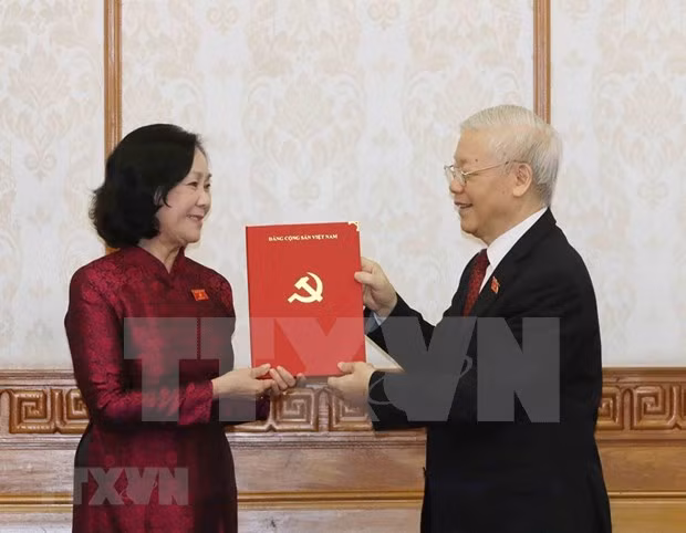 Designan a nuevos jefes de comisiones del Partido Comunista de Vietnam ảnh 1