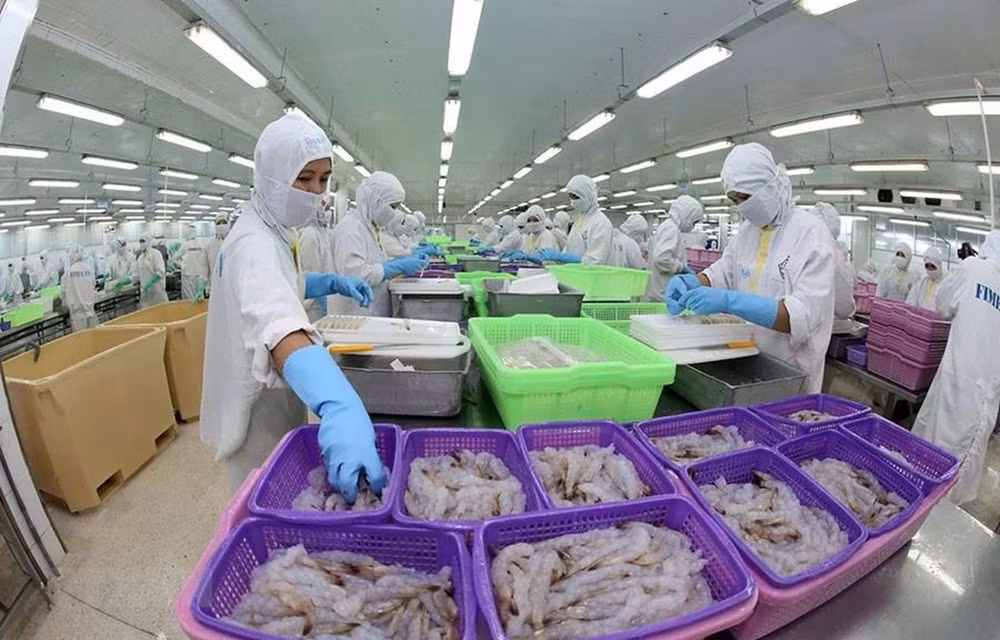 Especialista ruso destaca papel de Vietnam en espacio euroasiático ảnh 1
