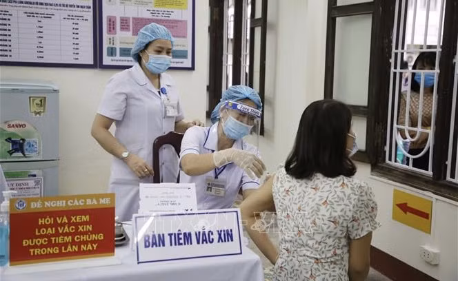 Vietnam amanece sin nuevos contagios del COVID-19 ảnh 1