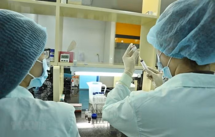 Vietnam facilita labor de empresas nacionales en investigación y producción de vacuna contra el COVID-19 ảnh 1 Vietnam facilita labor de empresas nacionales en investigación y producción de vacuna contra el COVID-19 ảnh 1