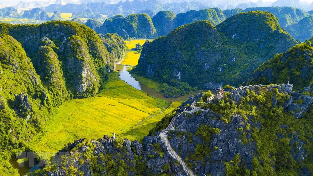 [Foto] Belleza de la temporada de cosecha de arroz en Ninh Binh ảnh 4