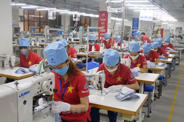 Reapertura vigoriza comercio de Vietnam tras difícil período ảnh 2