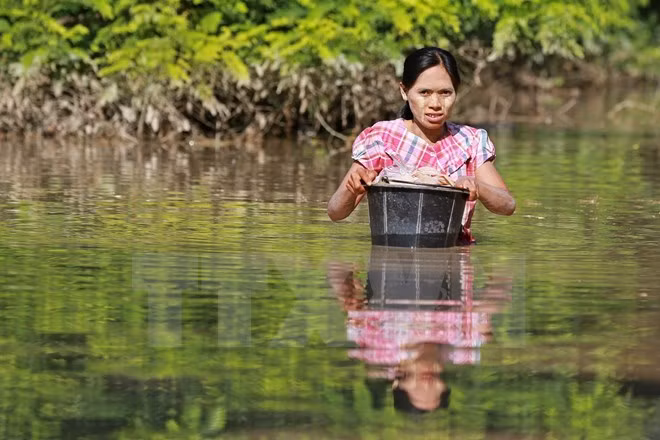 ASEAN brinda asistencia a víctimas de inundaciones en Myanmar ảnh 1