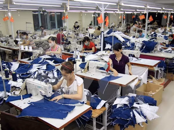TLC ampliará oportunidades a empresas Vietnam-UE ảnh 1