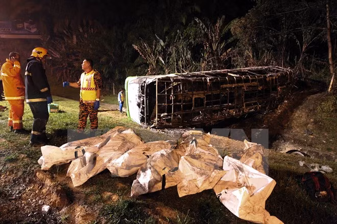  Cambodia: Al menos 12 muertos por accidente de bus ảnh 1