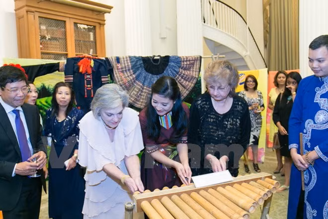 Velada cultural “Colores vietnamitas” se celebra en Nueva York ảnh 1