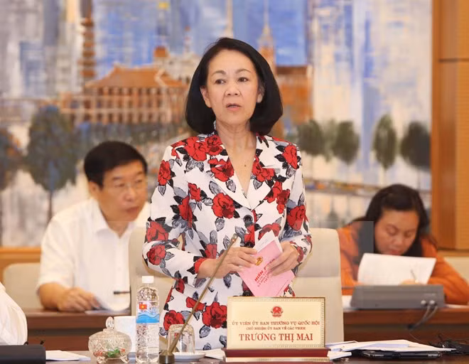 Comité parlamentario analiza borradores de importantes leyes ảnh 1