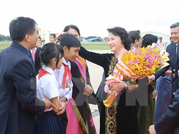 Vietnamitas en Camboya son partes inseparables de la Patria ảnh 1