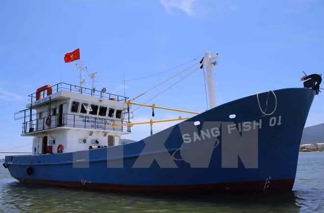 Valora Vietnam participación en construcción de barcos en Rusia ảnh 1