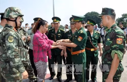Desarticulan red de tráfico humano en provincia norteña de Vietnam ảnh 1