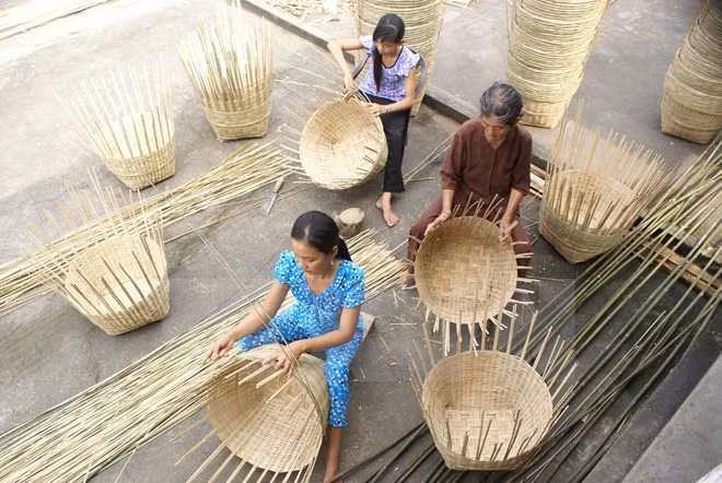 Delta del Mekong fomenta formación profesional para empleados ảnh 1