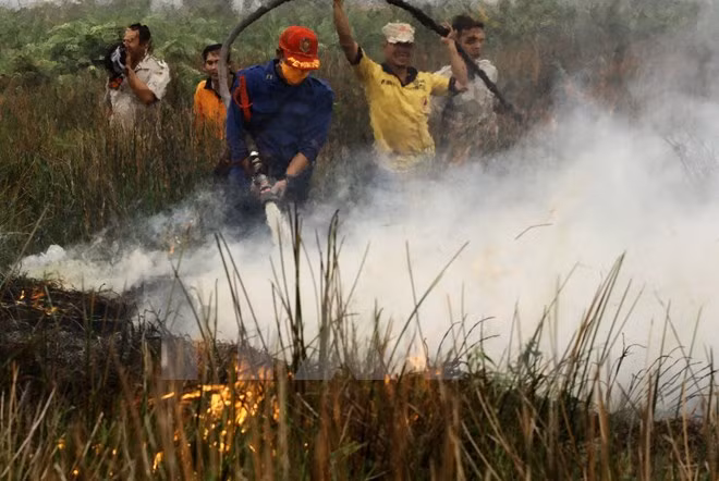  Indonesia sigue en lucha contra incendios forestales y brumas ảnh 1