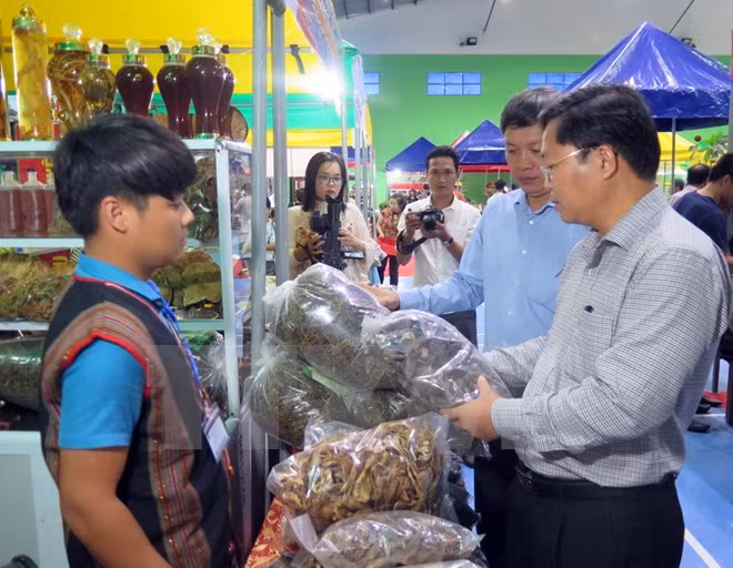 Reportan nutrida participación en primer mercado de ginseng Ngoc Linh en 2018 ảnh 1