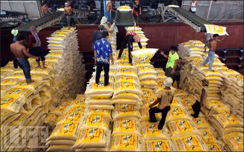 Exportaciones de Tailandia logran récord en los últimos seis años ảnh 1