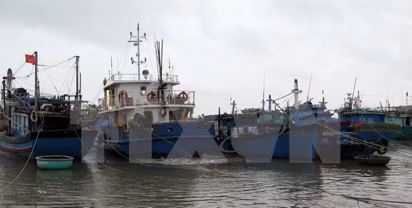 Rescatan a cinco pescadores vietnamitas accidentados en el mar ảnh 1