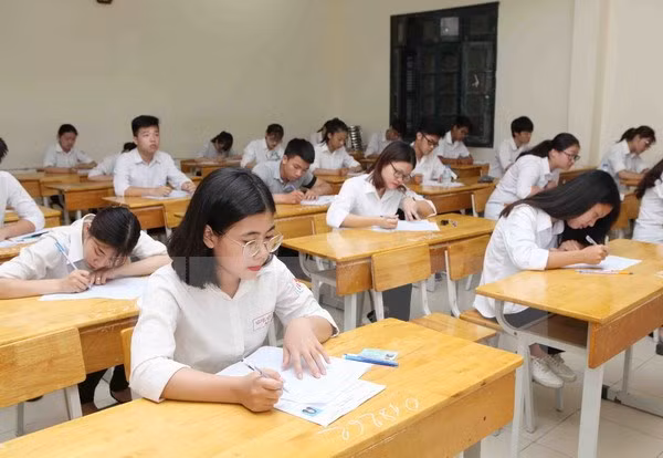 Dinamarca asiste a Vietnam en doble formación vocacional ảnh 1
