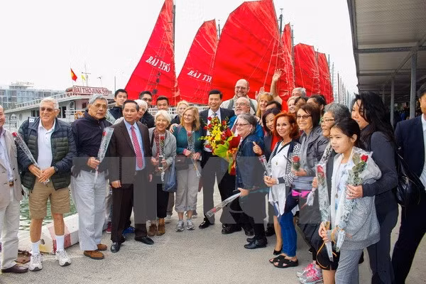 Bahía de Ha Long de Vietnam acoge a primeros visitantes en 2018 ảnh 1