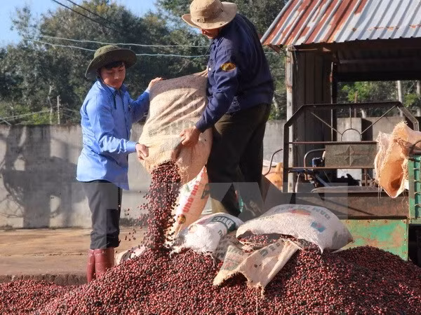Empresas vietnamitas realizan inversiones millonarias en Laos y Camboya ảnh 1