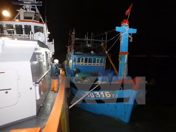 Rescatan oportunamente marineros extranjeros accidentados en mar vietnamita ảnh 1