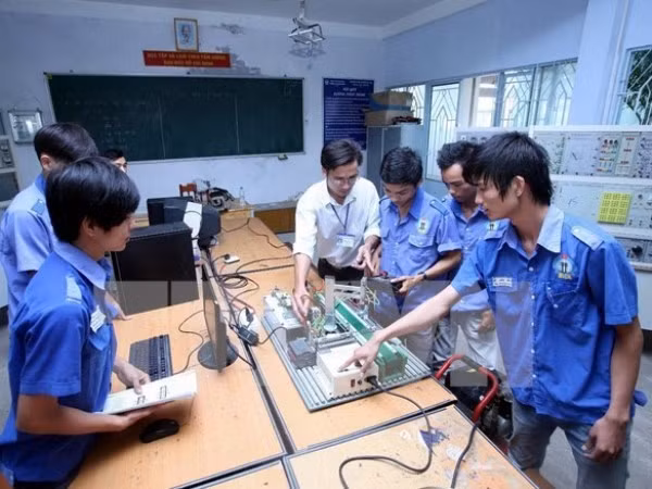 Vietnam y Reino Unido colaboran en educación vocacional ảnh 1