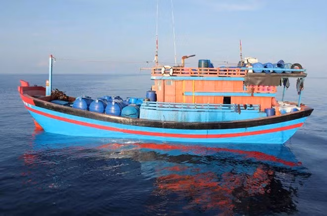 Vietnam refuerza la lucha contra pesca ilegal, no declarada y no reglamentada ảnh 1