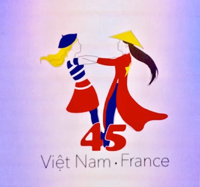 Presentan logotipo para aniversario de relaciones diplomáticas entre Vietnam y Francia ảnh 1