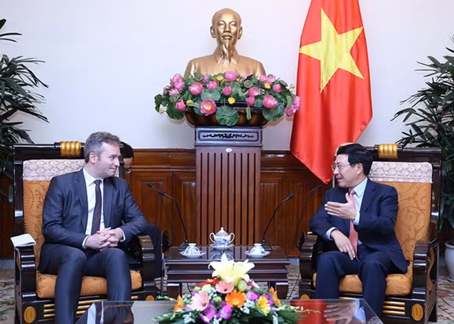 Francia prioriza fomento de nexos con Vietnam ảnh 1