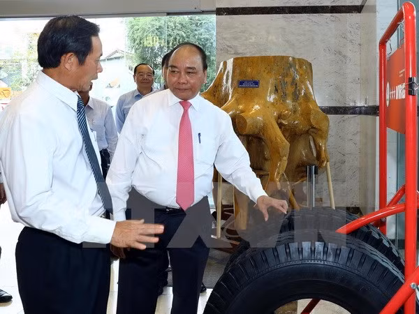 Premier de Vietnam orienta el desarrollo del sector nacional de caucho ảnh 1