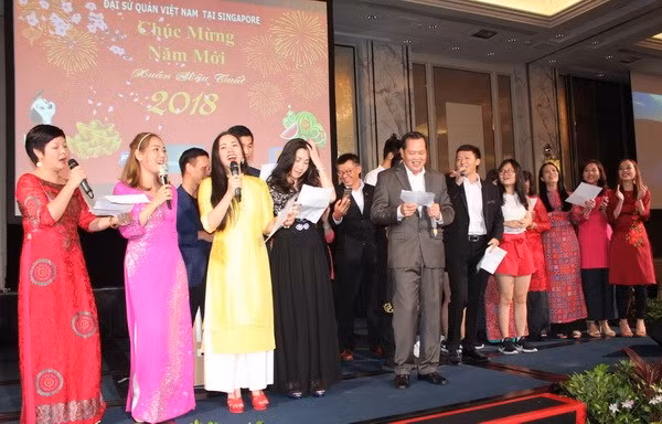 Vietnamitas en Singapur celebran el Año Nuevo Lunar ảnh 1