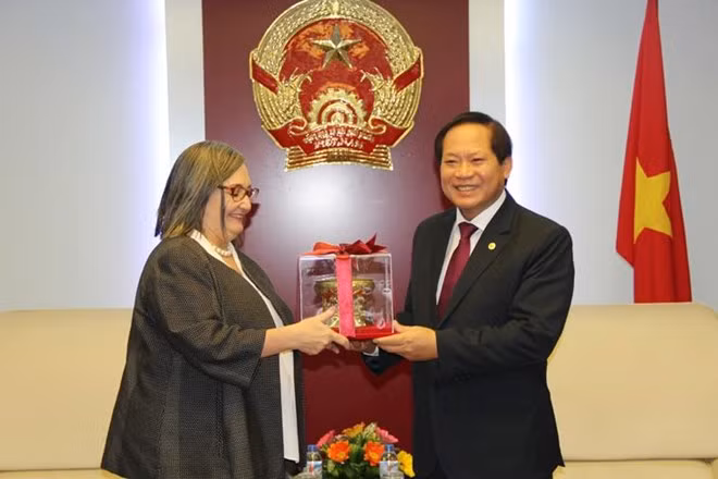Vietnam y Google fomentan cooperación en prevención de informaciones erróneas ảnh 1