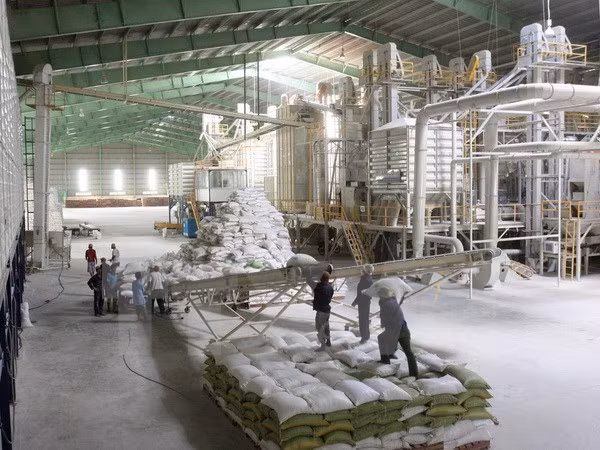  Reportan señales positivas para exportación de arroz de Vietnam en 2018 ảnh 1