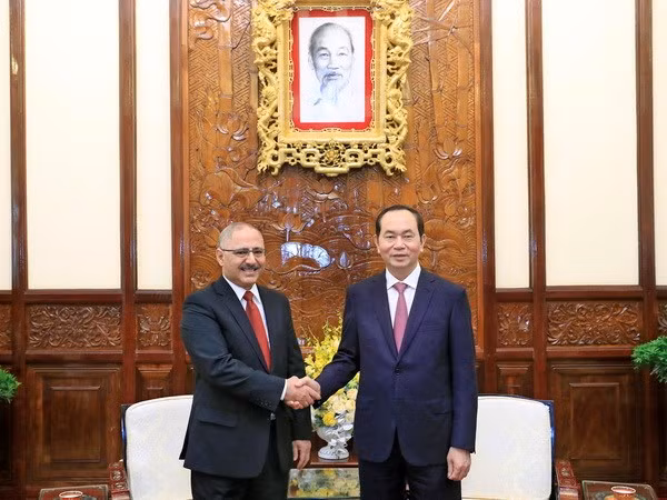 Presidente vietnamita destaca aportes de embajador egipcio a nexos bilaterales ảnh 1