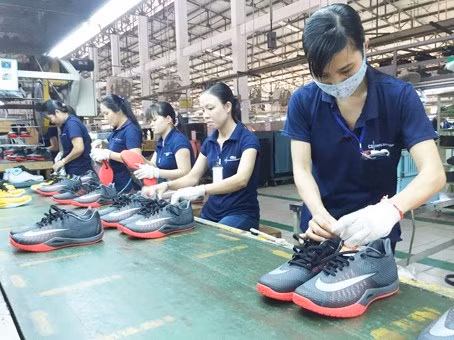 Dong Nai encabeza lista de provincias vietnamitas en superávit comercial ảnh 1