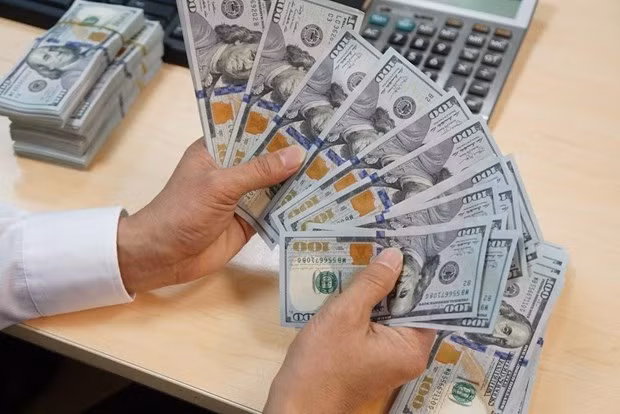 Registra Vietnam reserva de divisas multimillonaria ảnh 1