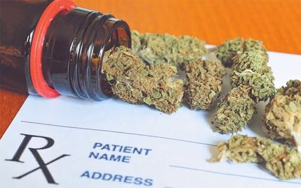 Incautan en Vietnam 5,8 kilogramos de marihuana transportada desde Camboya ảnh 1