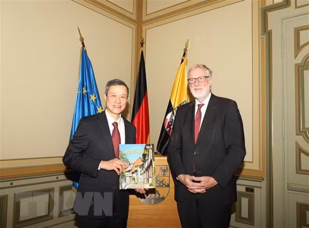 Promueven cooperación entre Vietnam y el estado alemán de Sajonia-Anhalt ảnh 1